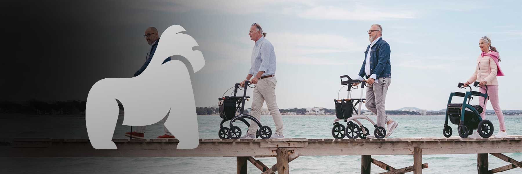 rollator im angebot