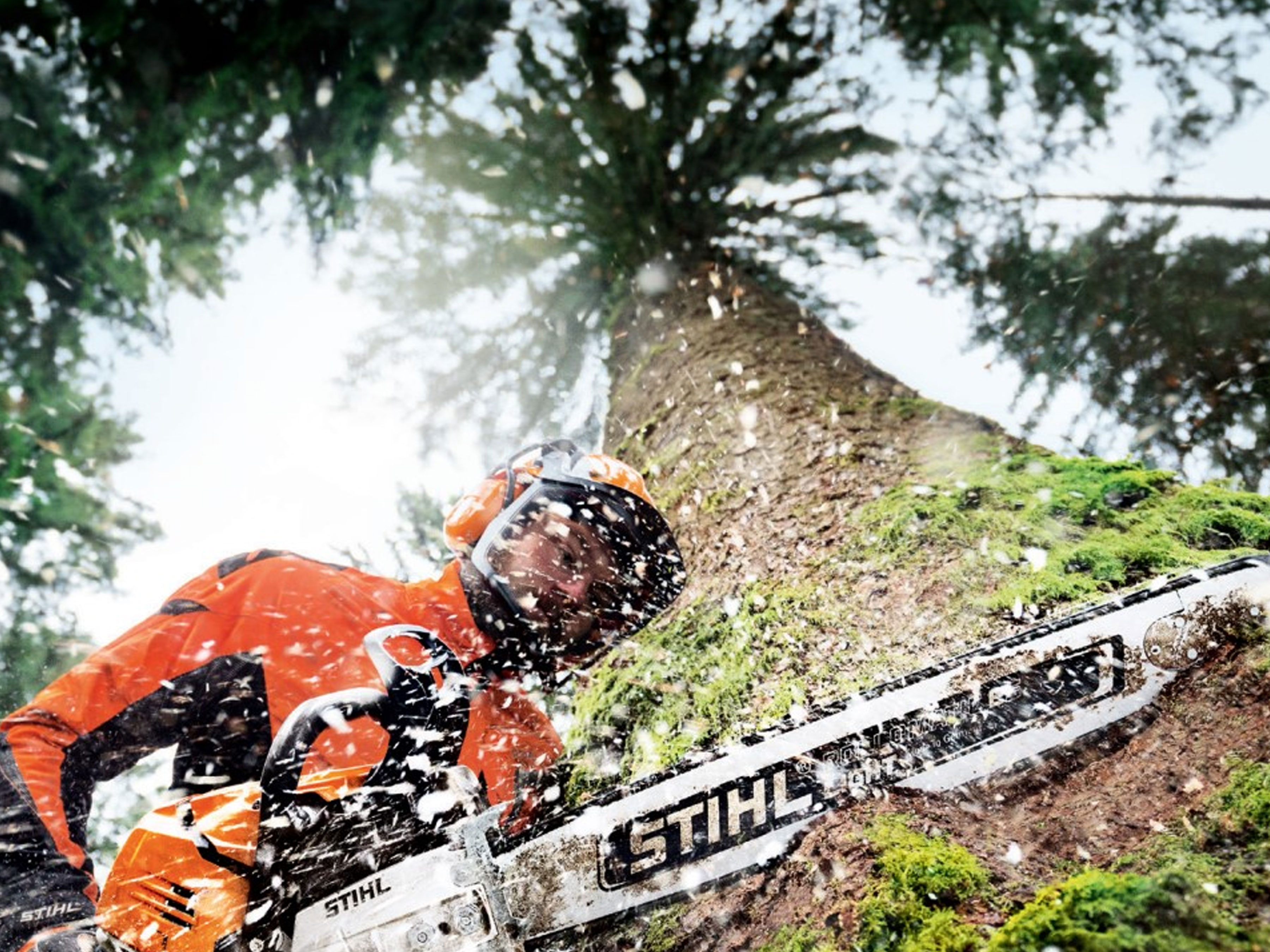 Stihl Motorsägen im Einsatz: Präzision und Kraft für Profis